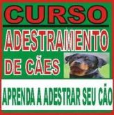 CURSO DE ADESTRAMENTO CANINO